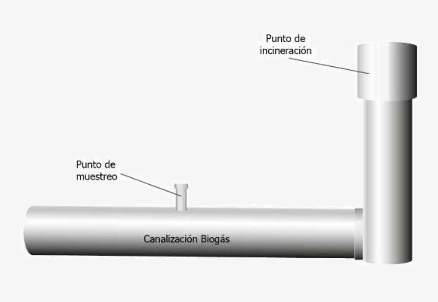 Zorich imagen