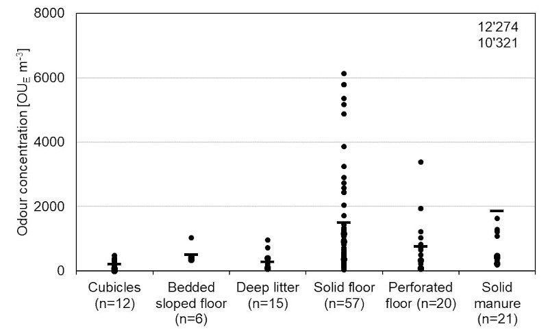 Odour concentration of lying area, floor and solid manure