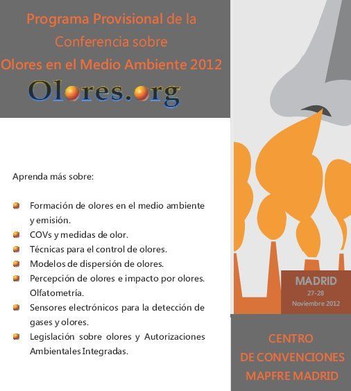 programa provisional